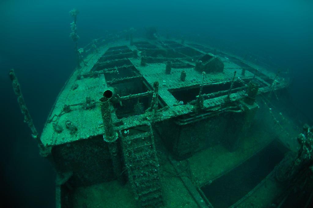 Gulen Dive Resort Dalsøyra Eksteriør billede